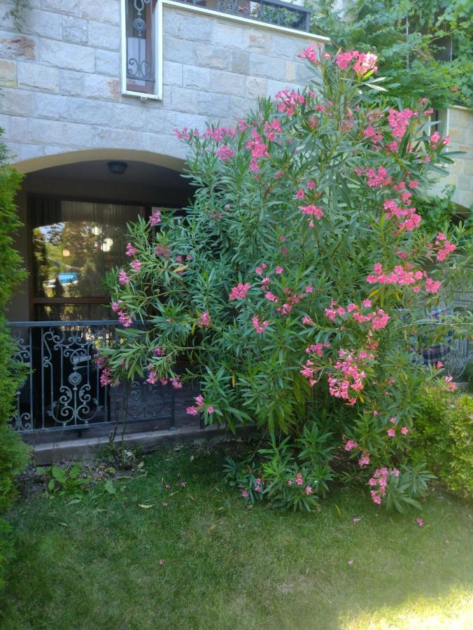 Destination Bulgaria 2000 Cascadas Private Summer Family Apartments Sunny Beach Buitenkant foto